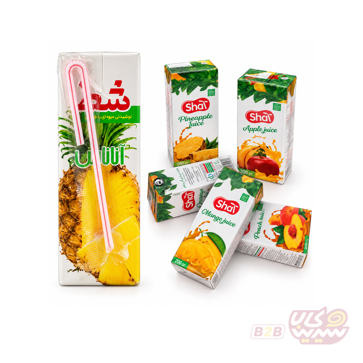 آبمیوه-تتراپک-200-میل-شط آبمیوه تک نفره شط