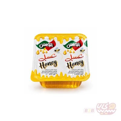 عسل 20 گرمی پژوهش کارتن 60 تایی